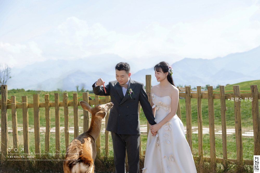 炒鸡甜~杨先生雷女士氛围森系婚纱照、氛围森系、木子、唠嗑型选手，构图多变、情绪拿捏，特写YYDS、婚纱照