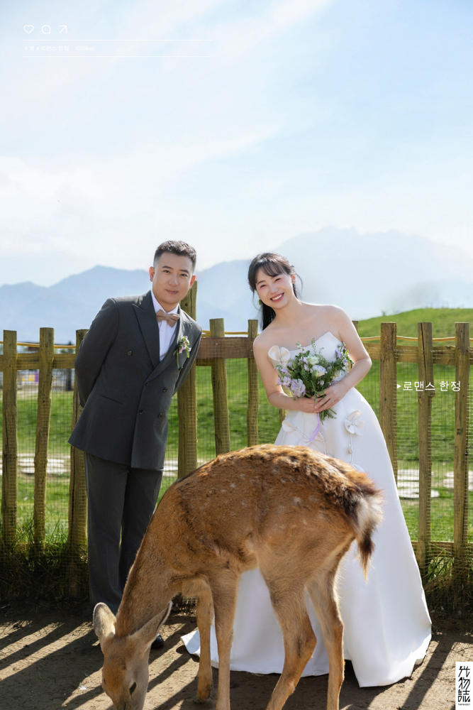 炒鸡甜~杨先生雷女士氛围森系婚纱照、氛围森系、木子、唠嗑型选手，构图多变、情绪拿捏，特写YYDS、婚纱照