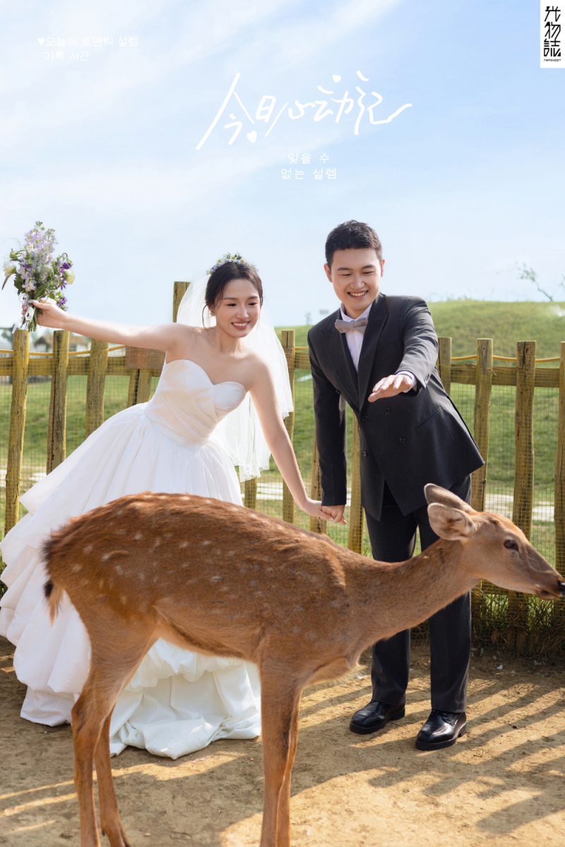太太太太可了~~！李先生女士氛围森系婚纱照、氛围森系、艾辰、偷偷练过读心术，精准预判每一个想法，细腻到心里、婚纱照