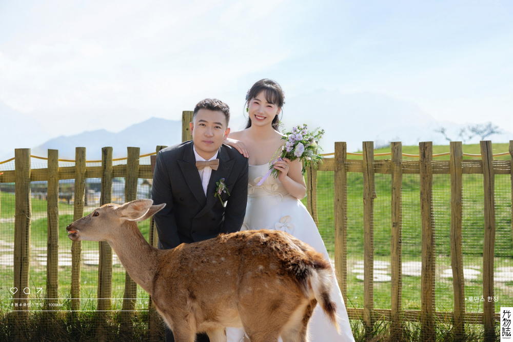炒鸡甜~杨先生雷女士氛围森系婚纱照、氛围森系、木子、唠嗑型选手，构图多变、情绪拿捏，特写YYDS、婚纱照