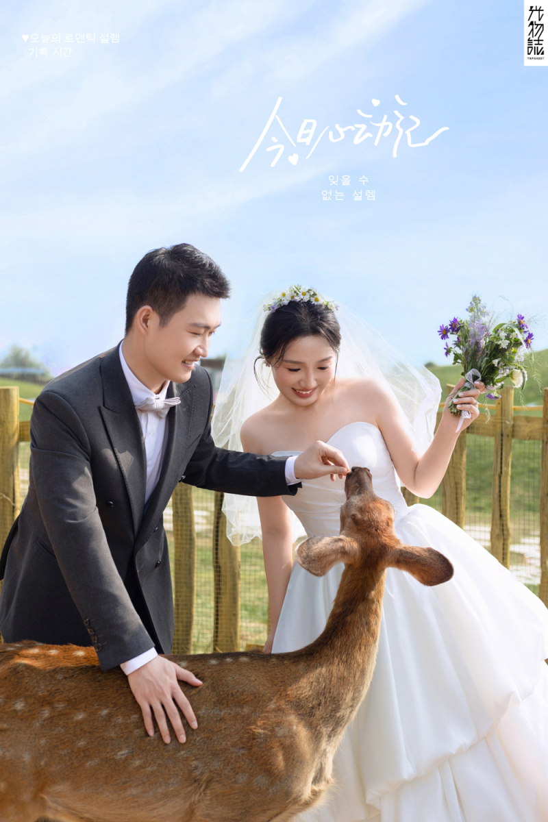 太太太太可了~~！李先生女士氛围森系婚纱照、氛围森系、艾辰、偷偷练过读心术，精准预判每一个想法，细腻到心里、婚纱照
