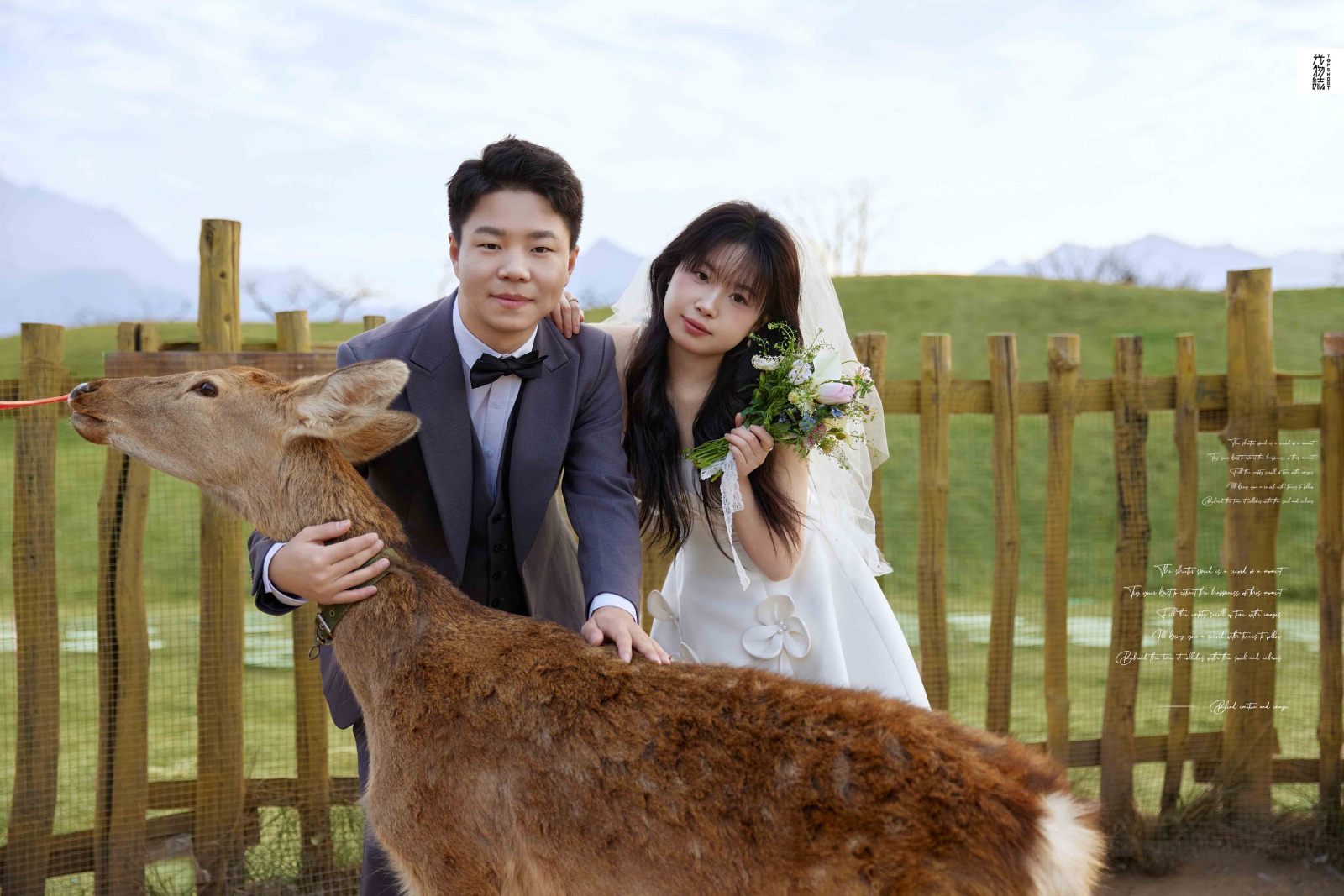 新鲜出炉:)白娜女士物誌生活婚纱照、物誌生活  氛围森系、韩松、行走的放大镜，现场细节，姿态指导的掌控者、婚纱照