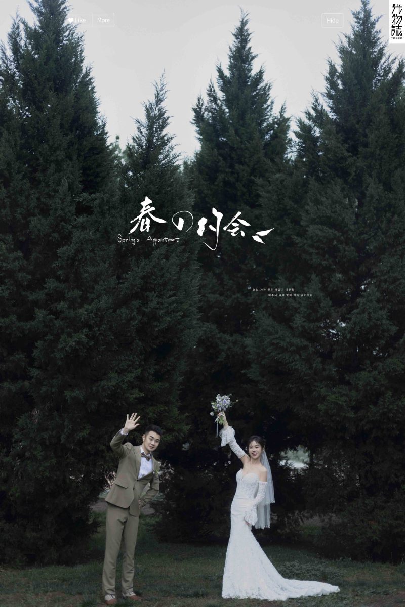 恋爱画报、氛围森系、