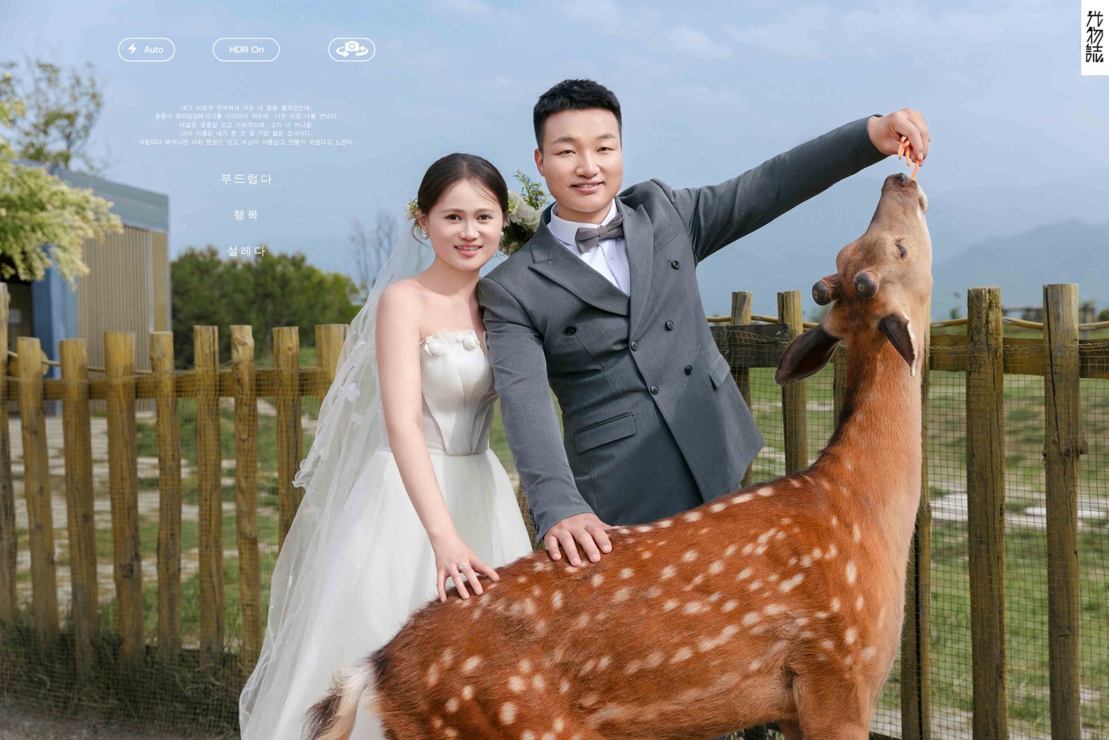 新鲜出炉:)常先生裴女士氛围森系婚纱照、氛围森系、于志尧、光影掌控者、情绪的记录者。唠一唠，欢乐的一天 美美的照片。、婚纱照