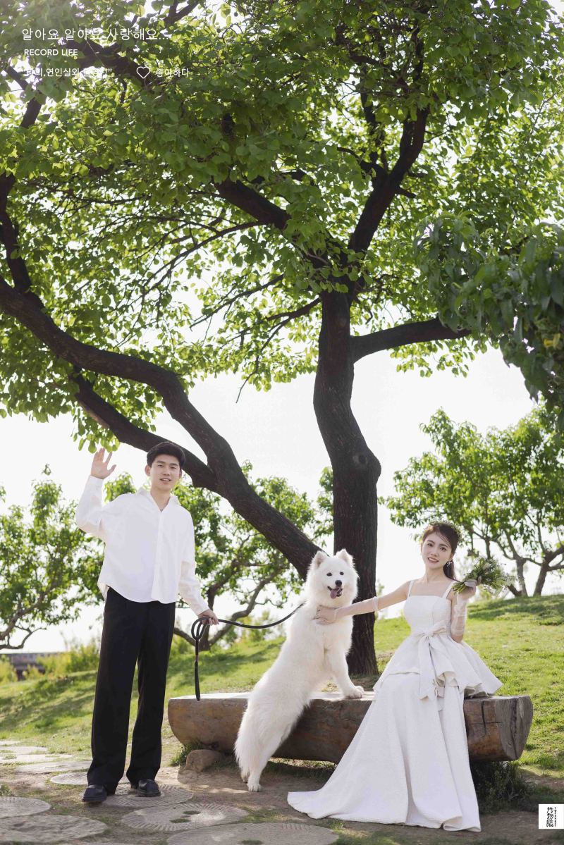 可甜可爱da刘先生白女士氛围森系婚纱照、氛围森系  物誌生活、徐才皓、好像在听单口相声，开心到直不起腰，幸福感MAX、婚纱照