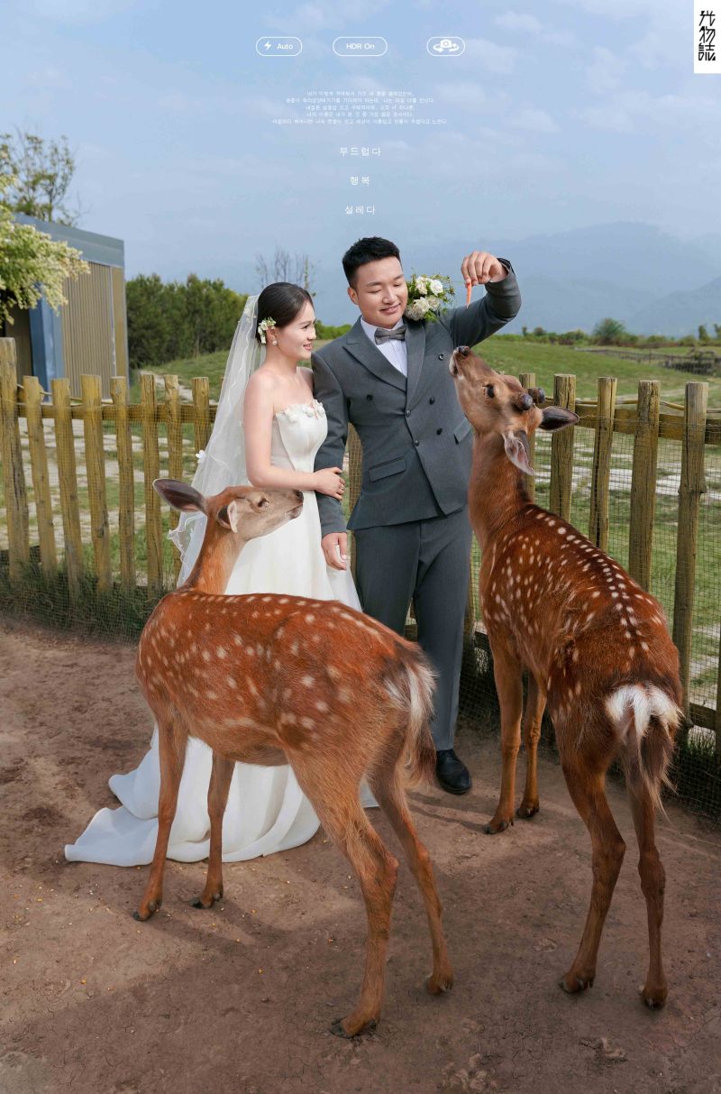 新鲜出炉:)常先生裴女士氛围森系婚纱照、氛围森系、于志尧、光影掌控者、情绪的记录者。唠一唠，欢乐的一天 美美的照片。、婚纱照
