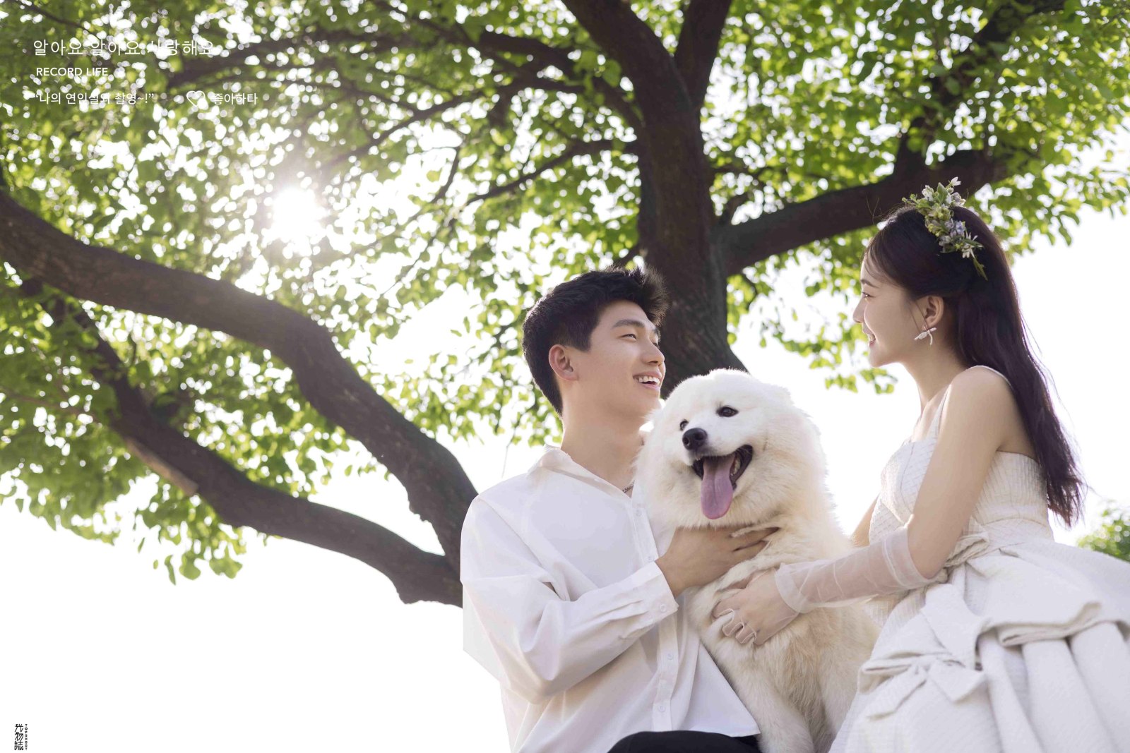 可甜可爱da刘先生白女士氛围森系婚纱照、氛围森系  物誌生活、徐才皓、好像在听单口相声，开心到直不起腰，幸福感MAX、婚纱照