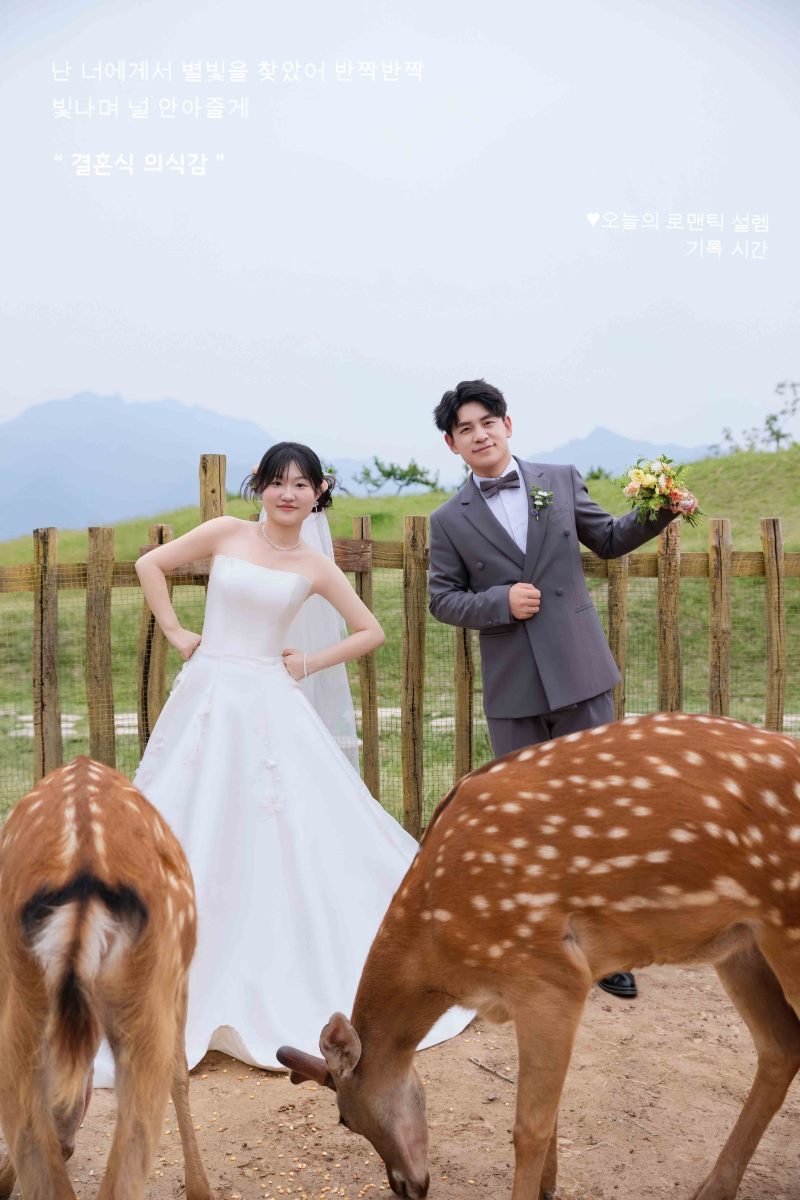 刘艳生先生袁慧童女士婚纱照、物誌生活、韩松、行走的放大镜，现场细节，姿态指导的掌控者、婚纱照