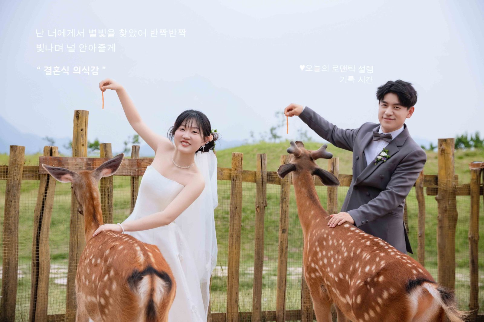 刘艳生先生袁慧童女士婚纱照、物誌生活、韩松、行走的放大镜，现场细节，姿态指导的掌控者、婚纱照