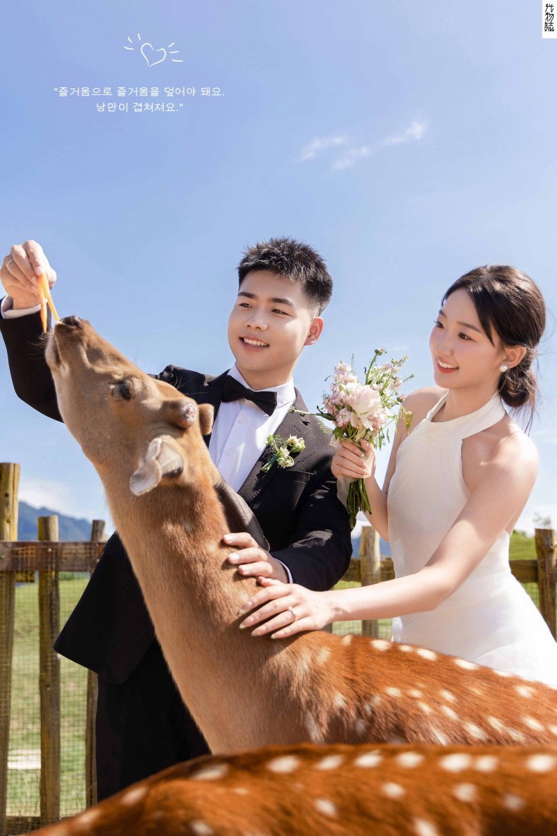 新鲜出炉:)牛先生李女士氛围森系婚纱照、氛围森系  氛围森系、毛磊、谁说拍照不能freestyle，创作灵感像吃了炫迈停不下来、婚纱照