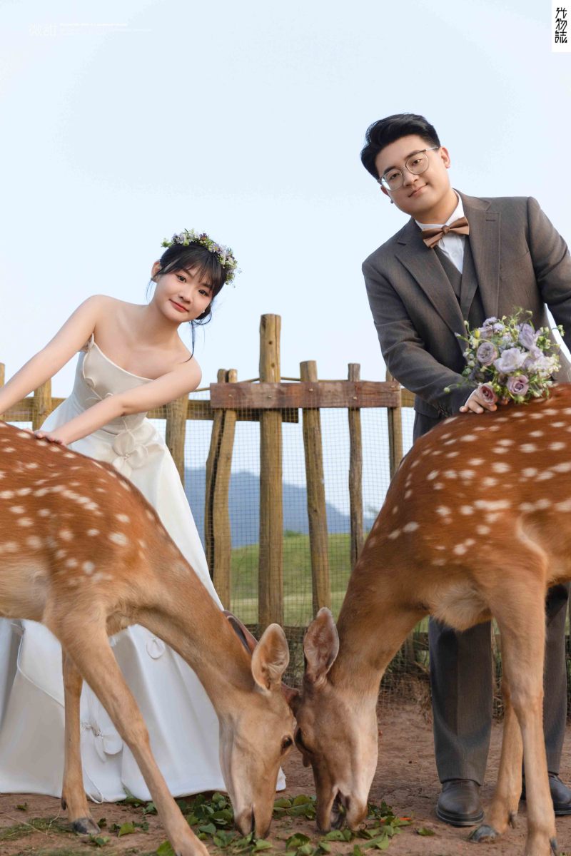 新鲜出炉:)郭武先生陈映霏女士氛围森系婚纱照、氛围森系、韩松、行走的放大镜，现场细节，姿态指导的掌控者、婚纱照