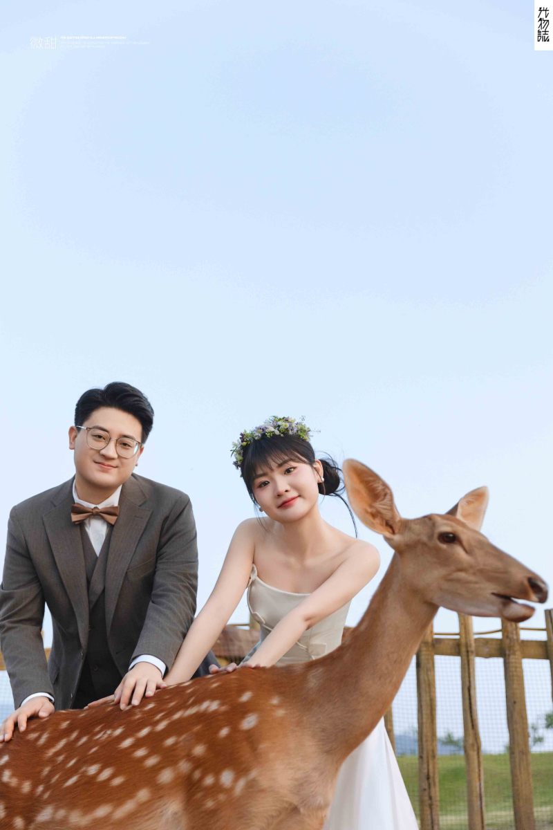 新鲜出炉:)郭武先生陈映霏女士氛围森系婚纱照、氛围森系、韩松、行走的放大镜，现场细节，姿态指导的掌控者、婚纱照