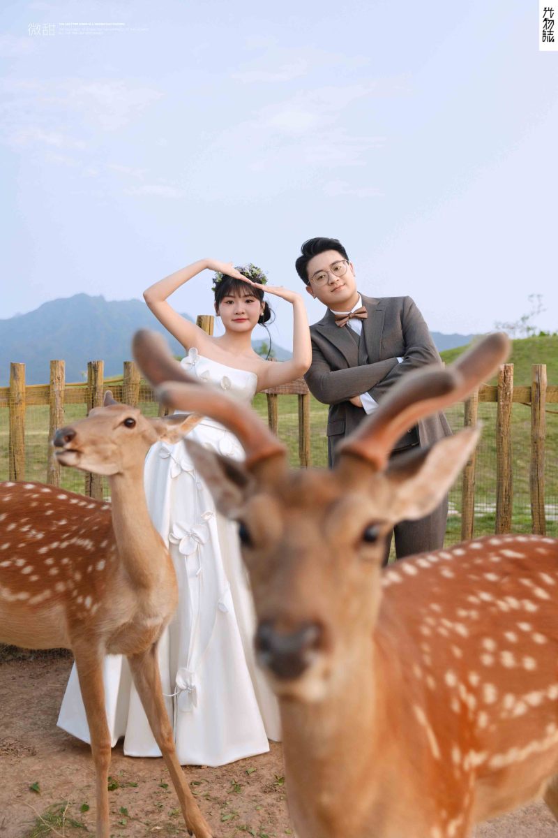 新鲜出炉:)郭武先生陈映霏女士氛围森系婚纱照、氛围森系、韩松、行走的放大镜，现场细节，姿态指导的掌控者、婚纱照