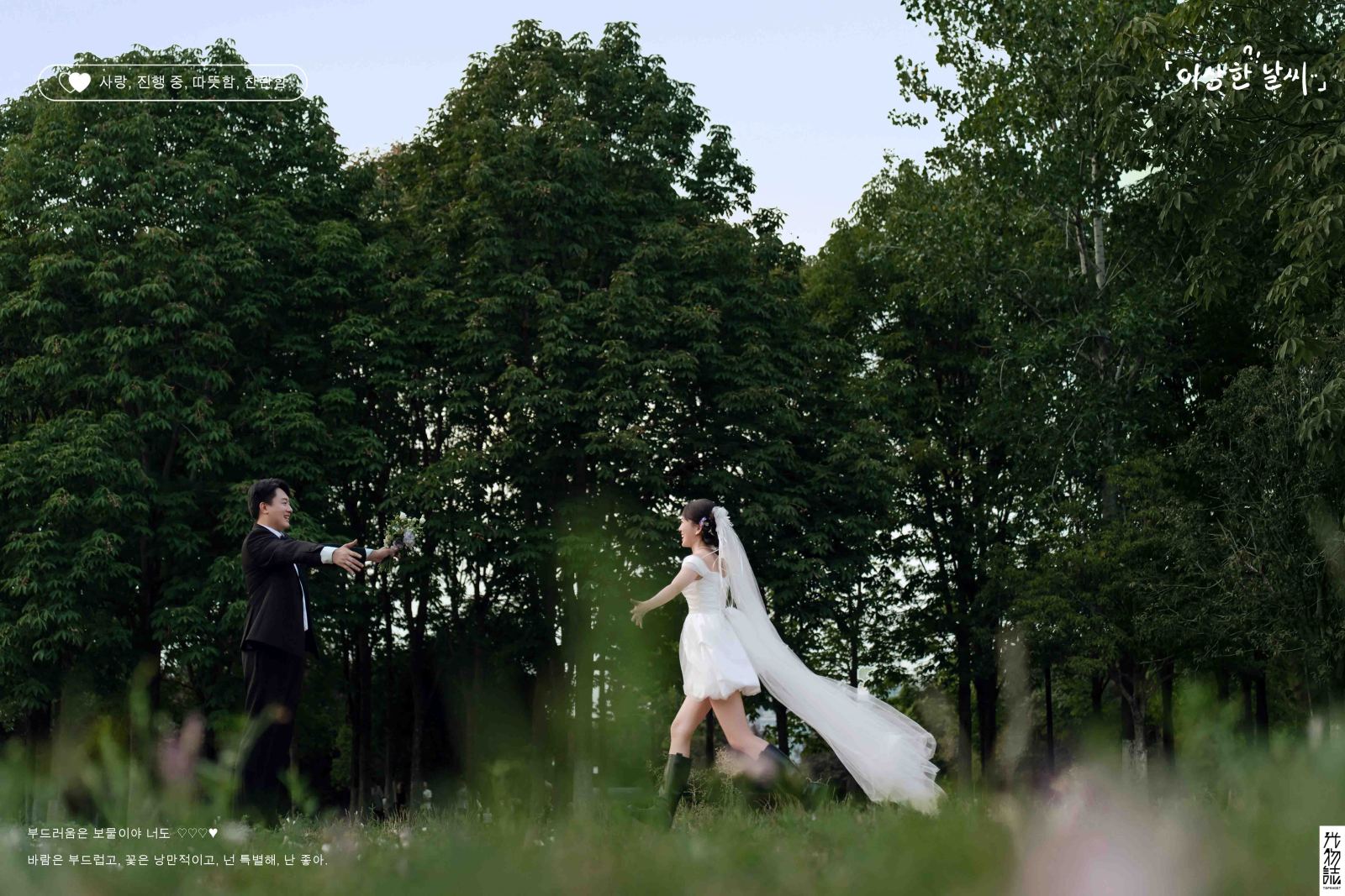 极致情绪！李钦傲先生刘欣宇女士氛围森系婚纱照、氛围森系、韩松、行走的放大镜，现场细节，姿态指导的掌控者、婚纱照