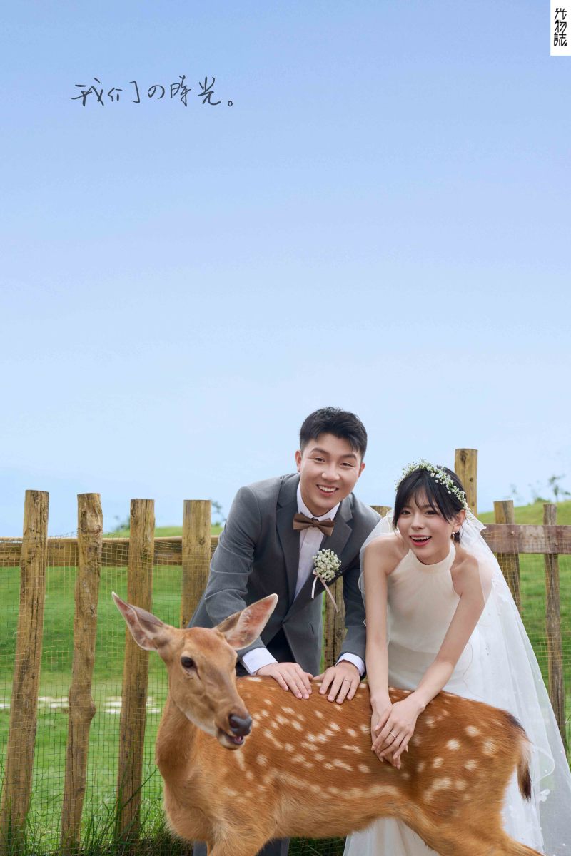 爱情电影。马赛先生曾媛媛女士氛围森系婚纱照、氛围森系、韩松、行走的放大镜，现场细节，姿态指导的掌控者、婚纱照