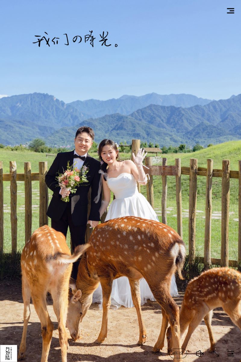 太太太太可了~~！牛先生鲍女士氛围森系婚纱照、氛围森系、艾辰、偷偷练过读心术，精准预判每一个想法，细腻到心里、婚纱照