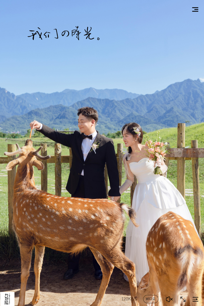 太太太太可了~~！牛先生鲍女士氛围森系婚纱照、氛围森系、艾辰、偷偷练过读心术，精准预判每一个想法，细腻到心里、婚纱照